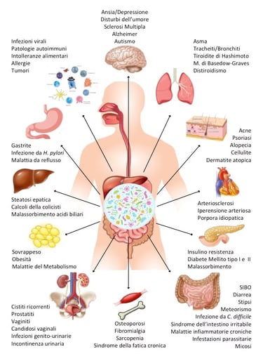 microbiota e malattie croniche
