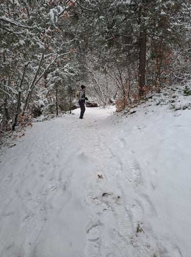 Finn's Footprints Utah Budget Travel Review