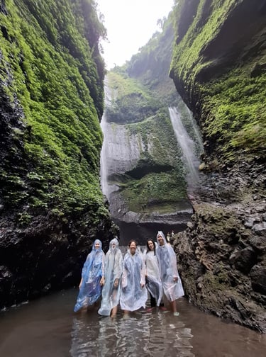 Surabaya Malang Bromo Madakaripura Surabaya  Day 1 - Arrive SUB at 12.40 (QZ 387) - Visit to Transpo