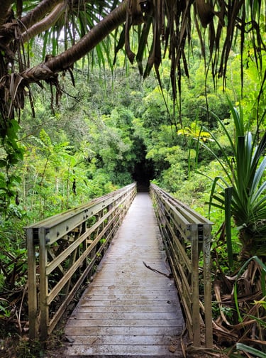 Pipiwail trail Maui