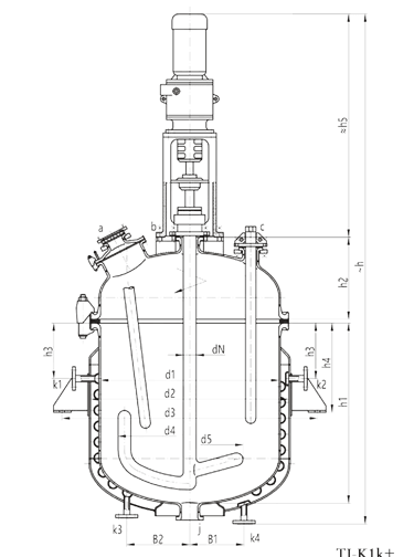 Glass lined reactors K type