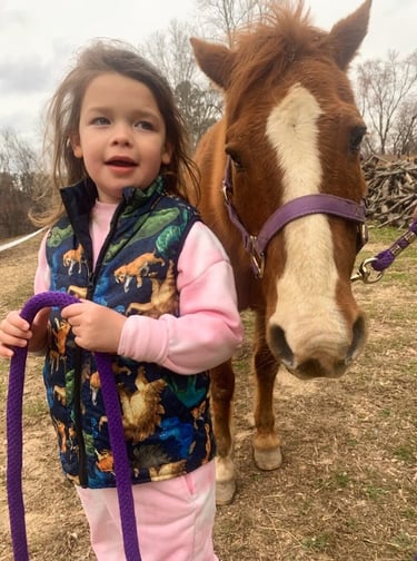 Health Vibes - Children can benefit greatly by therapy horses