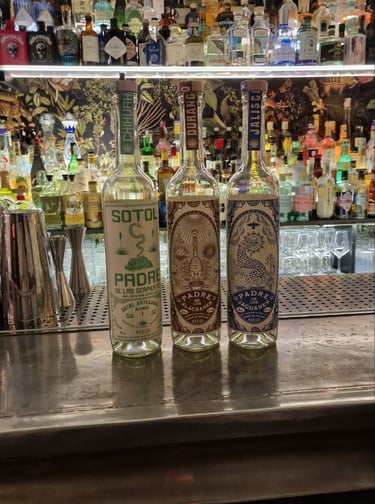 Distillati ancestrali messicani Mezcal Sotol Terra Wild Spirits per Mixology