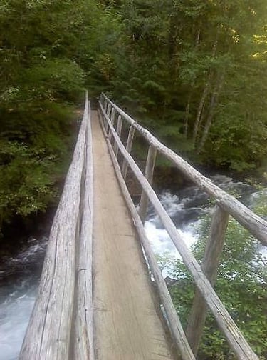 Health Vibes - fear of heights crossing the bridge on the Sahalie Falls trail