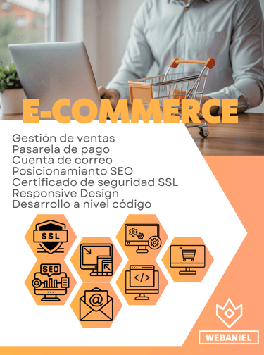 Plan E-commerce