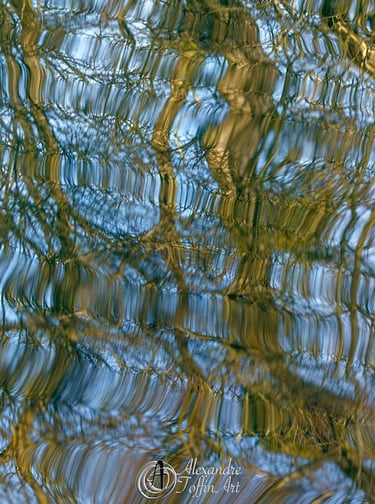 Aller à la page Réflection Matière pour apprécier ces toiles éphémères créées grâce à l'eau. 