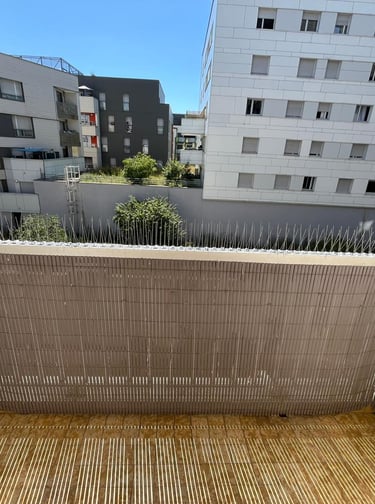 Avant / Après : nettoyage et désinfection totale des fientes de pigeon Annecy