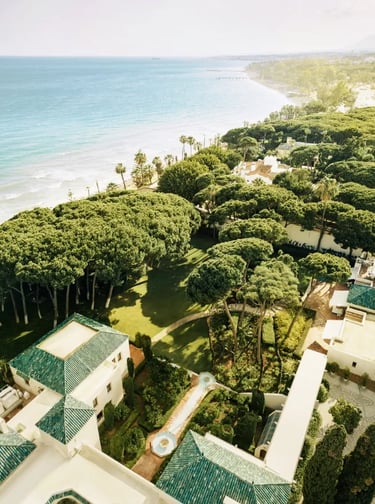 Aerial view of Villa El Rincon by the Mediterranean