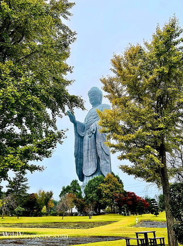 Statue d’Ushiku Daibutsu depuis le parc