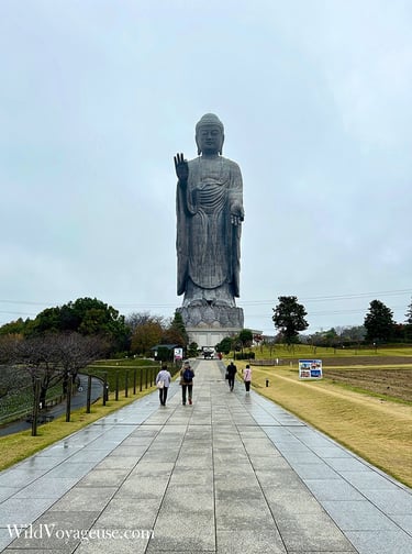 Chemin menant à la statue d’Ushiku Daibutsu