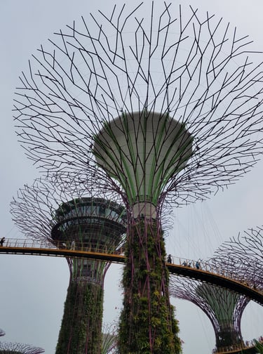 Gardens By The Bay is a huge attraction in Singapore