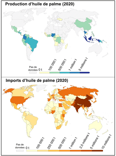 Carte des pays producteurs et importateurs d'huile de palme dans le monde