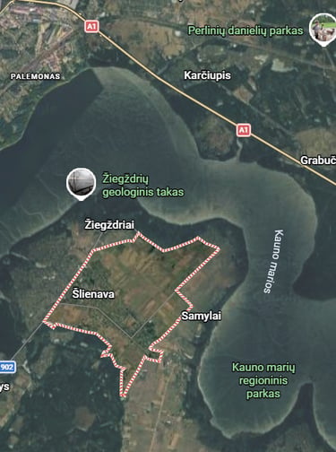Šlienavos vieta žemėlapyje