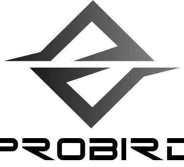 3D Printing Services Probird