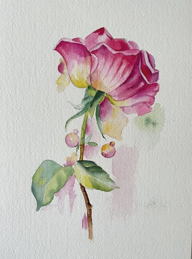 Rosa dipinta ad acquerello