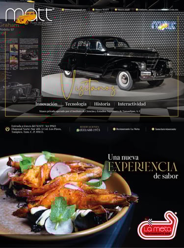 PLANA REVISTA ALTHER/ MATT/ LA META