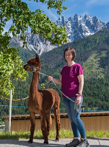 Alpakas sind sanfte Wanderbegleiter