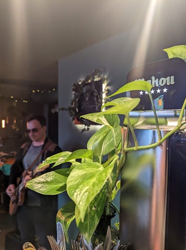 Polick Sinoj Live Mao Brunch #2