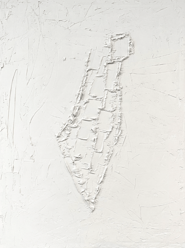 israel raised textured organic modern wall art canvas