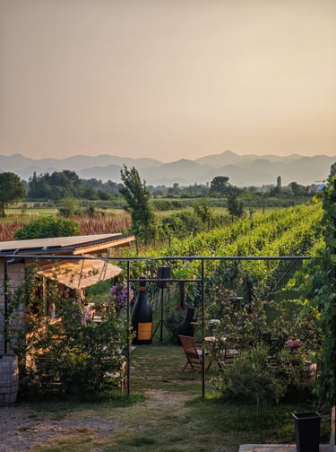 Monte Grande winery Montenegro