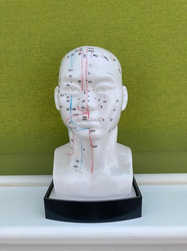 Meridians on the head and neck