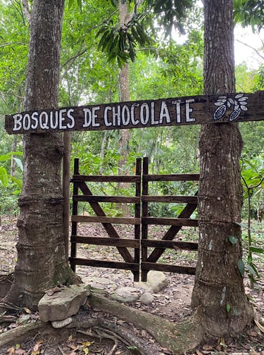 Tour de chocolate en Don Diego Santa Marta Colombia