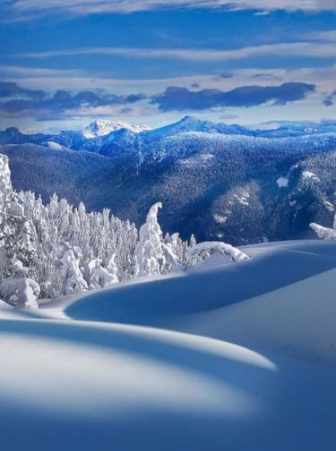 The Prevention and Treatiment of Hypothermia