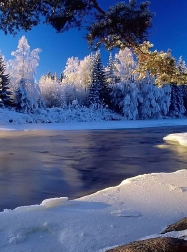 The Prevention and Treatiment of Hypothermia