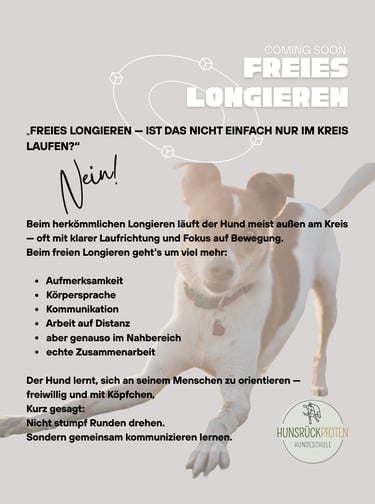 Poster zum Hundetraining ‚Freies Longieren‘ mit Jack Russell Terrier und Hunsrückpfoten-Logo