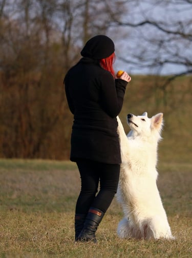 Educatrice canine
