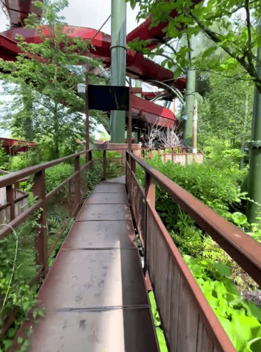 bellewaerde 2025 amazonia wachtrij