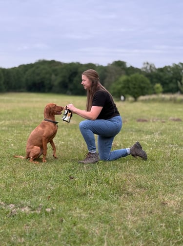 Heilpädagogische Förderung mit dem Hund