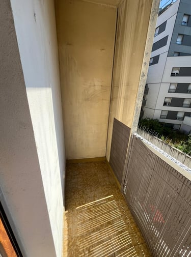 Avant / Après : nettoyage et désinfection totale des fientes de pigeon Albertville