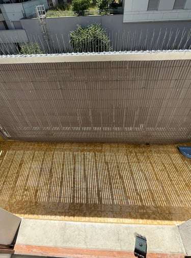 Avant / Après : nettoyage et désinfection totale des fientes de pigeon Chambery