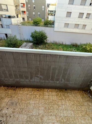 Avant / Après : nettoyage et désinfection totale des fientes de pigeon Bonneville