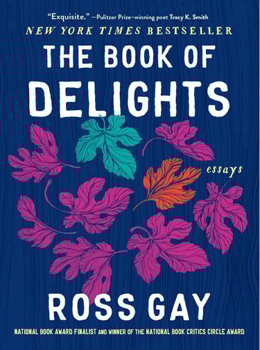 The Book of Delights book cover