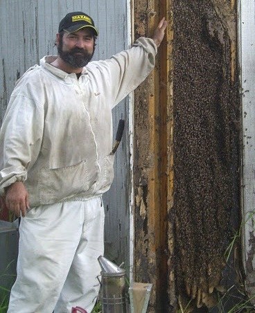 JP with a massive beehive