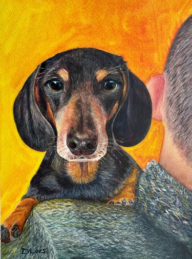 Watercolour of a Mini Dachshund dog looking over man's shoulder