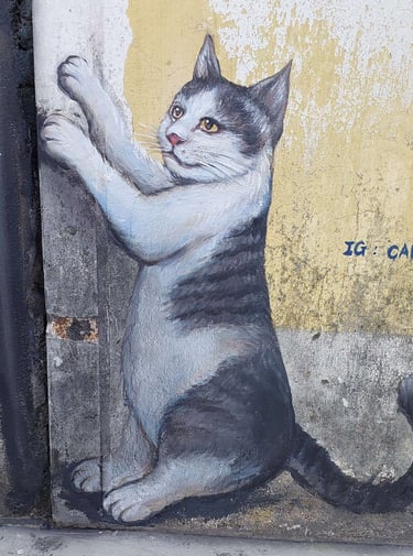 thai mueang street art cat