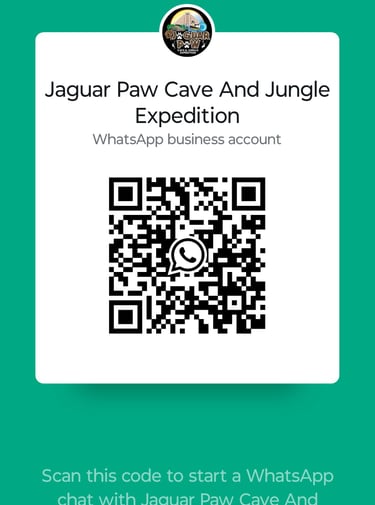 scan to get chat today - jaguar paw