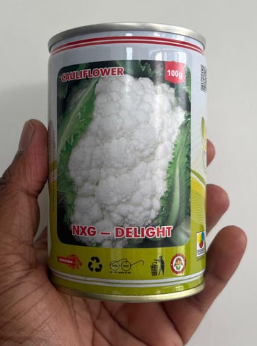 A 100g tin of NXG Delight cauliflower seeds being held in a hand.