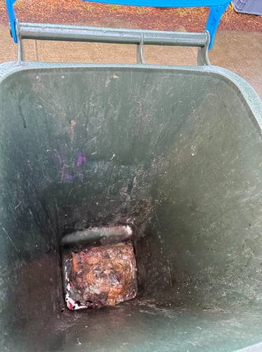 Bin Before