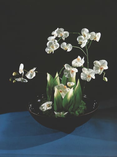 Ichiyo Ikebana School