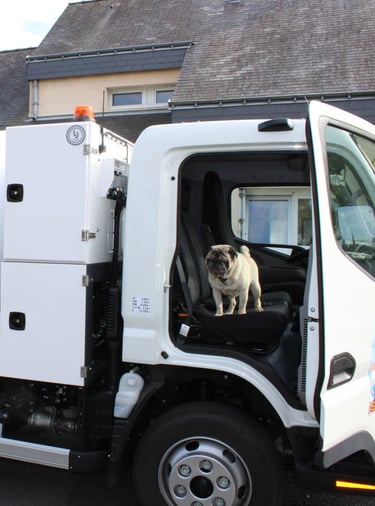 un chien dans un camion hydrocureur