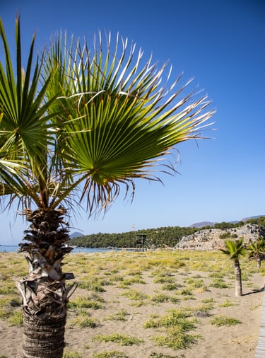 Iztuzu strand