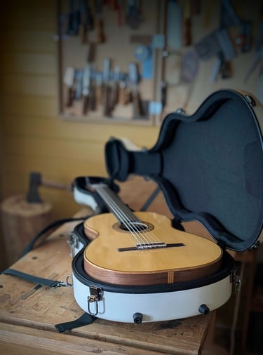 handmade guitar in case