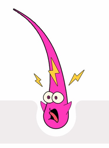 zappity doo dah