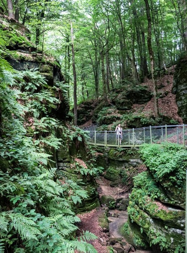 De Mullerthal wandelroute