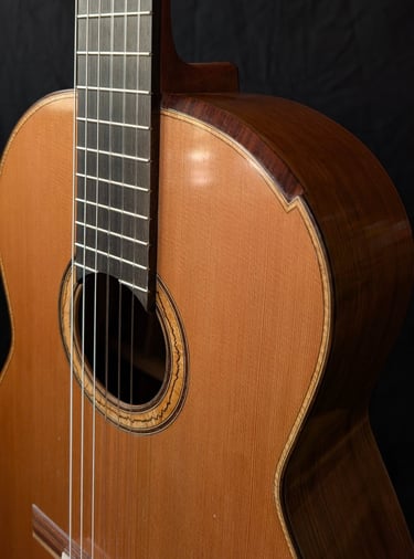 tailored guitar