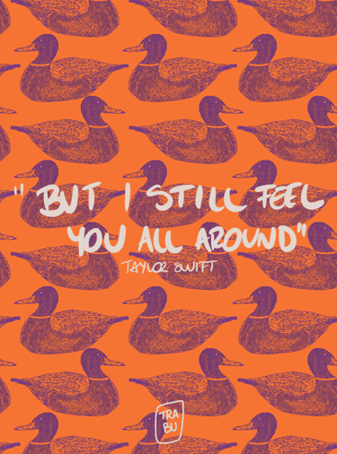 Un patrón de un pato ilustrado por mi